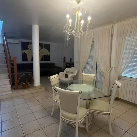 Sunny Florida トレビエハ