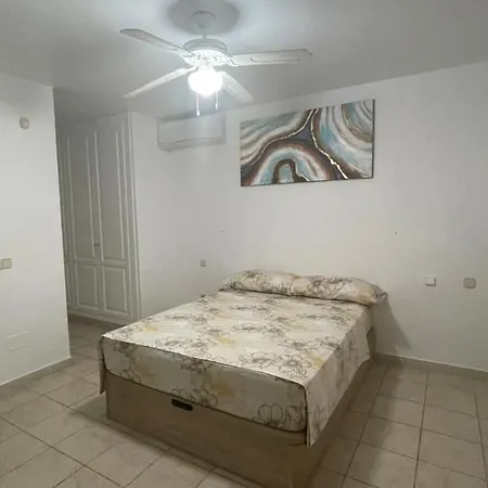 Sunny Florida トレビエハ