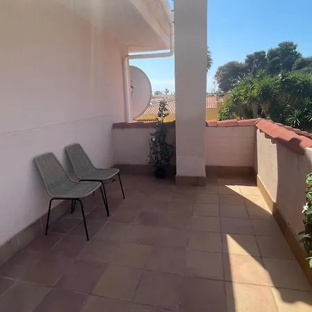 Sunny Florida * トレビエハ