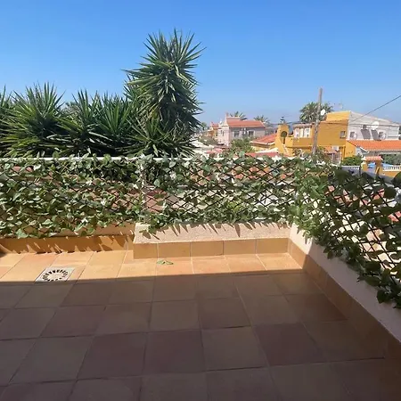 Sunny Florida * トレビエハ