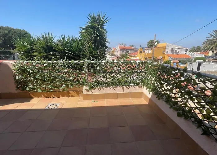 Sunny Florida * Торевьиа